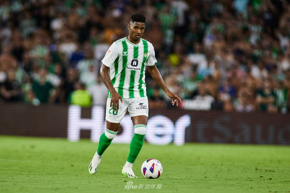 在各自领域 在各自领域