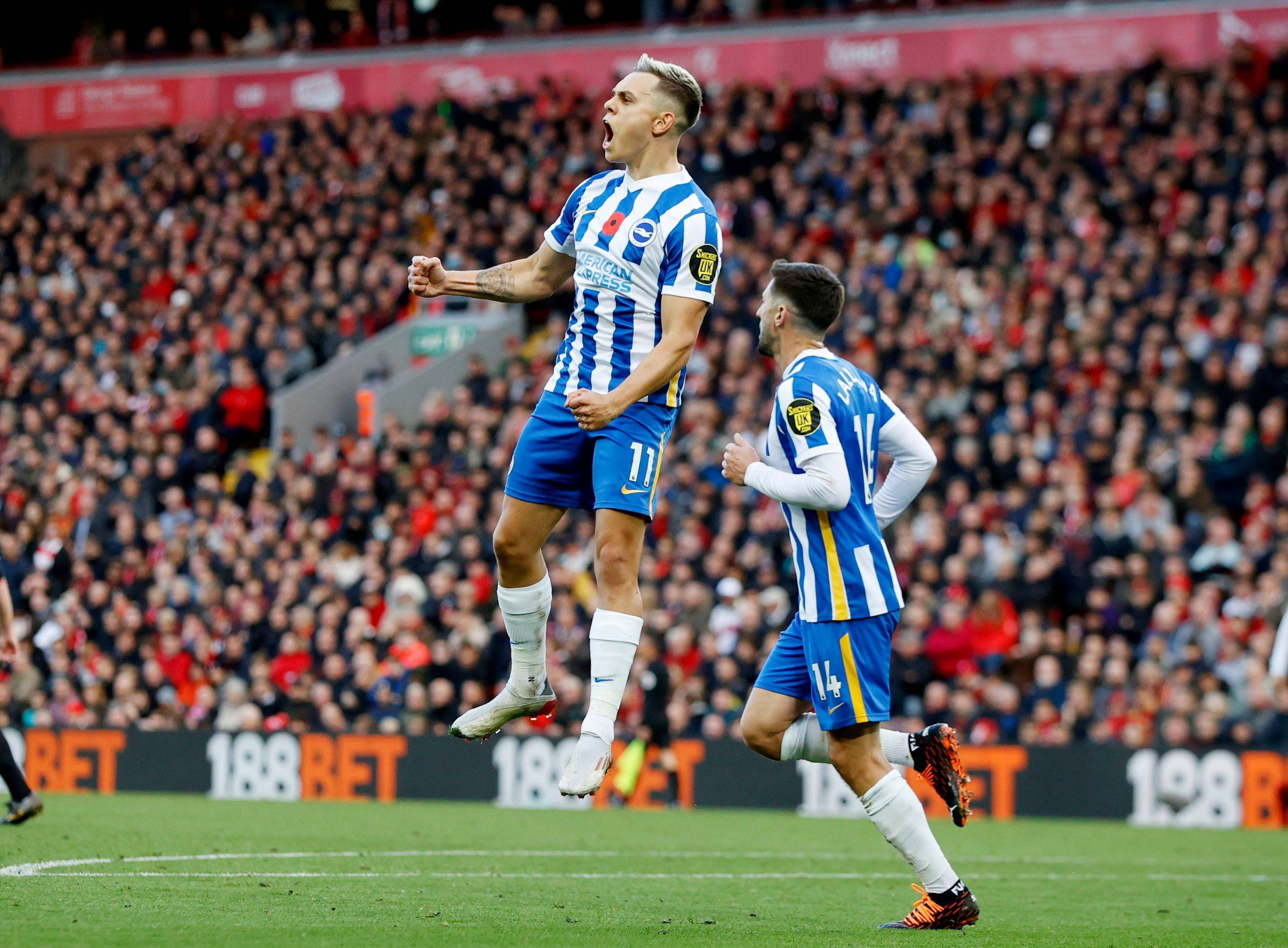 拾信心的莱 拾信心的莱